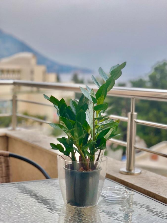 Boreta Becici Apartment Budva