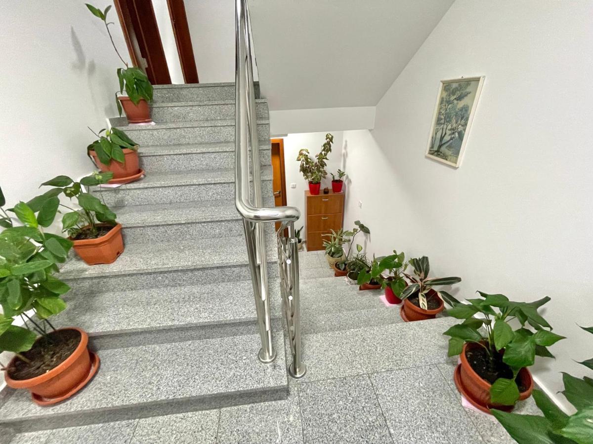 Apartment Boreta Becici