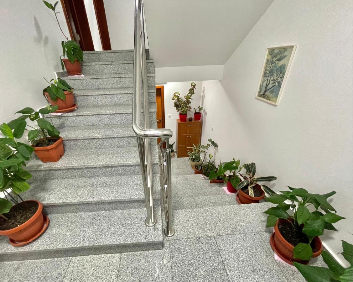 Apartment Boreta Becici